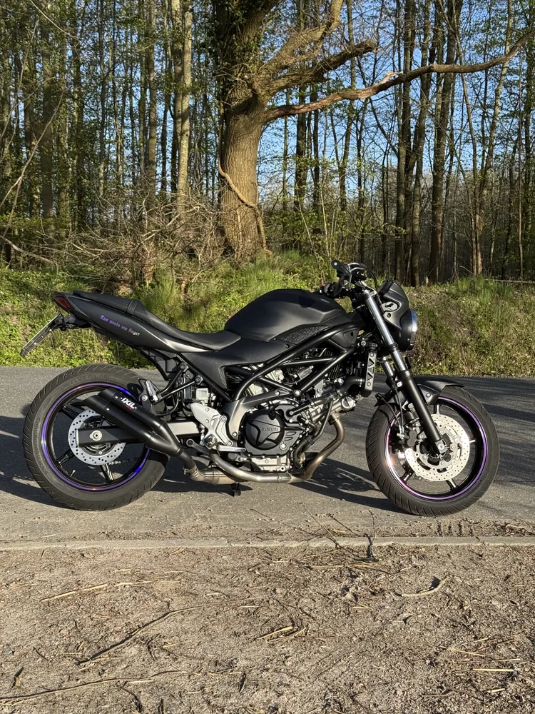 Suzuki SV 650 2017