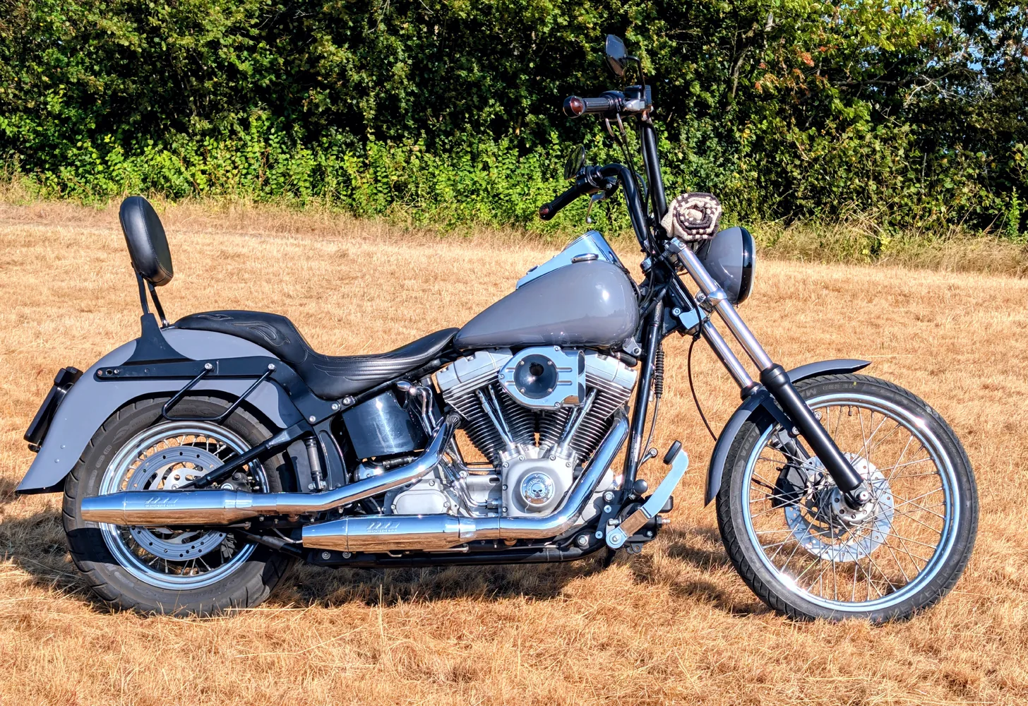 Harley-Davidson Softail Standard 2003